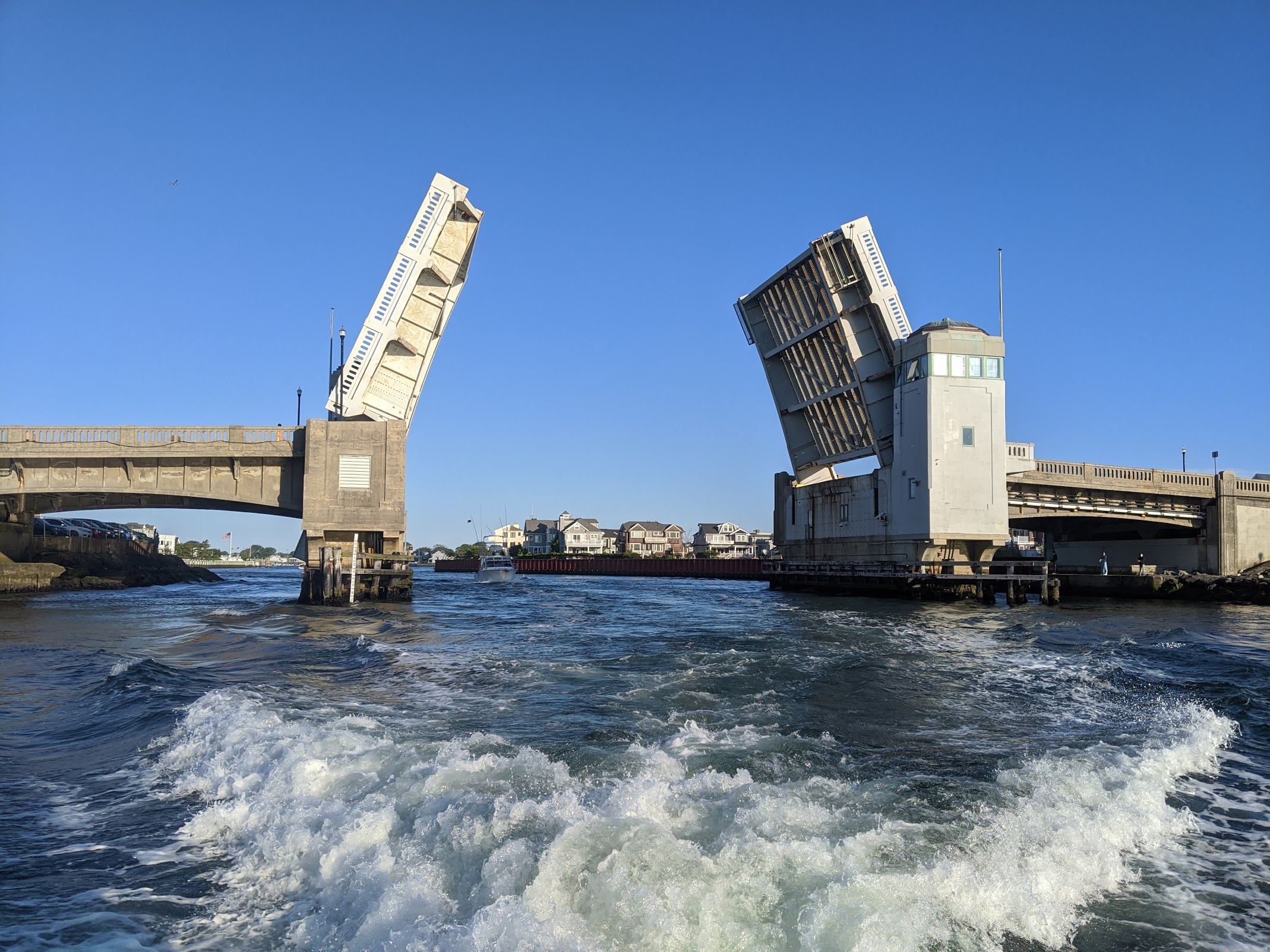 Welcome to Repetti Net!